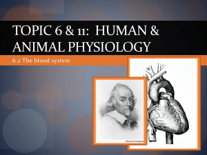 Topic 6 & 11: Human Health & physiology