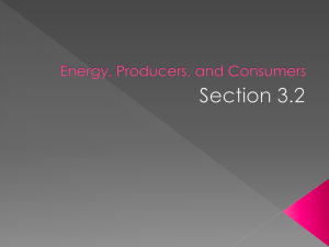 Energy, Producers, and Consumers