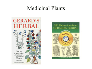 Plant Medicines - March 11.