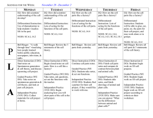 Lesson Plan Summary (Please use brief statements for each item)