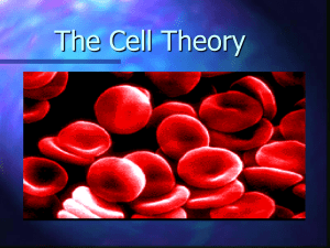 The Cell Theory - Solon City Schools