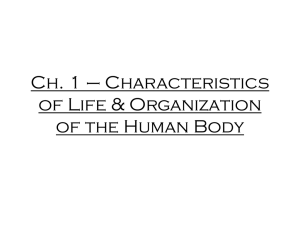 Ch. 1 * Characteristics of Life & Organization of the Human Body
