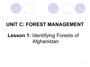 AfghanistanForests-English