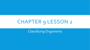 Chapter 9 Lesson 2 PPT