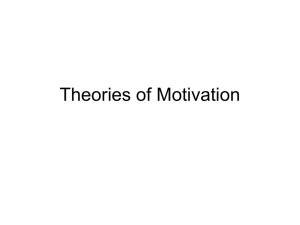 Work Motivation Slides (for handouts).