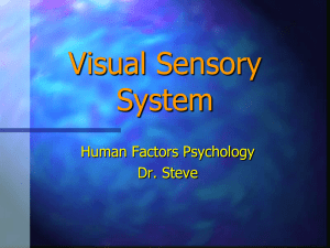 Visual Sensory Systems