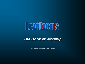 The Big Idea: Leviticus