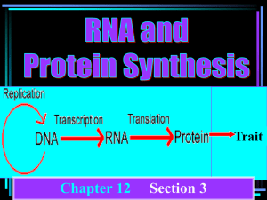 Protein Synthesis Power Point