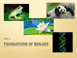 Foundations of biology