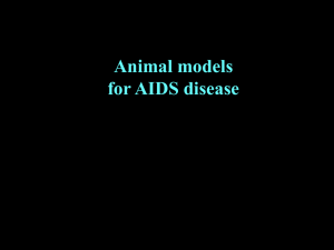 Animal models1