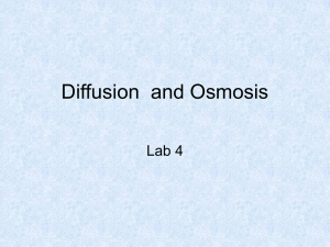 Effect of Membrane Permeability on Diffusion and Osmosis