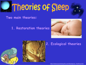 The Restoration Theory Of Sleep