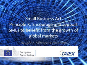 Small Business Act_X_IMI