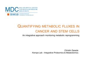 Quantifying metabolic fluxes in cancer and stem cells
