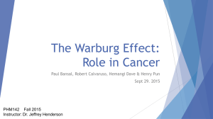 Warburg effect