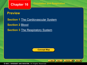 Section 1 The Cardiovascular System