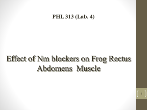 Effect of Nm blockers on Frog Rectus Abdomens Muscle