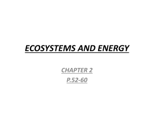 Energy and Organisms Notes