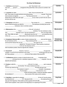The Virtual Cell Worksheet