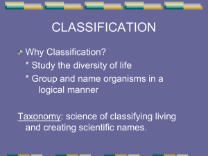 classification - Cobb Learning