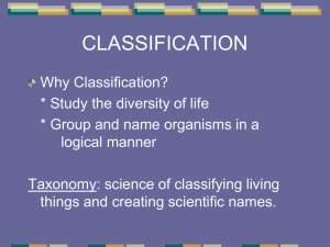 classification - Cobb Learning
