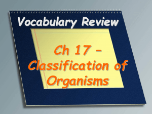 Classification of Organisms Vocabulary Review PPT