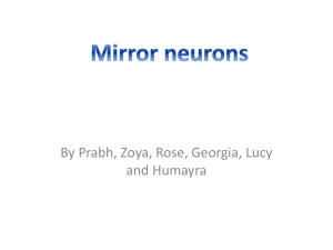 Cog & Dev. 8 -Altern. Mirror Neurons + Eval Powerpoint