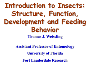 General Entomology - University of Florida