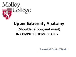 Upper Extremity Anatomy (Shoulder,elbow,and wrist)