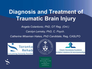 Traumatic Brain Injury Slides