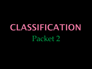 Classification PPT
