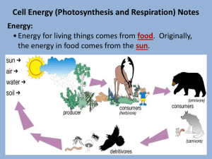 Cell Energy Ppt.