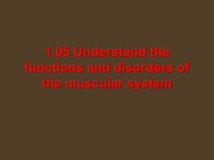 Disorders of the Muscular System PPT
