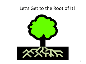 Let's Get to the Root of It!