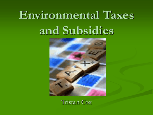 Environmental Taxes and Subsidies
