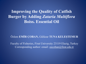 Improving the Quality of Catfish Burger by Adding Zataria Multiflora