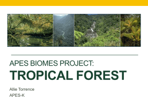 APES Biomes Project: Tropical Forest