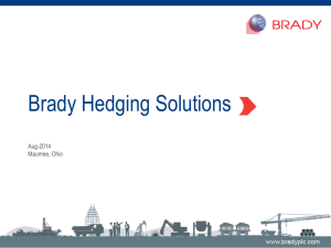 Brady Hedging Solutions