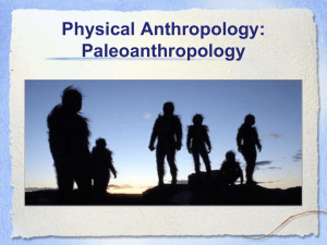 Physical Anthropology: Paleoanthropology