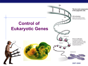 AP Biology 2007-2008 Control of Eukaryotic Genes AP Biology The
