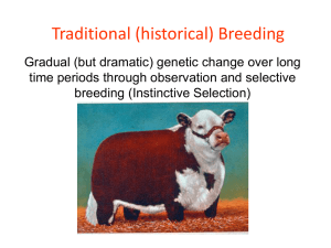 Traditional (historical) Breeding