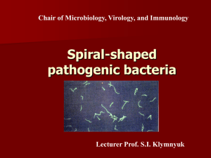 Spiral-shaped forms of pathogenic bacteria