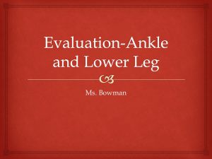 Ankle Guided Notes