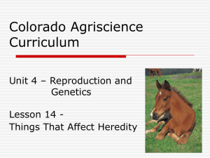 Unit: Genetics Lesson: Things That Affect Heredity