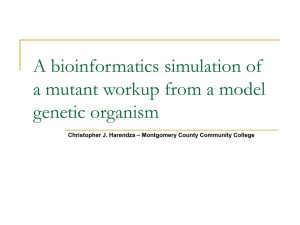 A bioinformatics simulation of a mutant workup from a model genetic