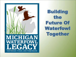 Building the waterfowl future together_Short_Updated1.10.13