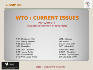 WTO: Agriculture Issues