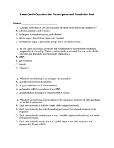 Extra Credit Questions for Transcription and Translation Test