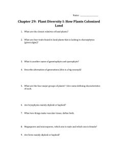 active reading ch 29 plant diversity wkst