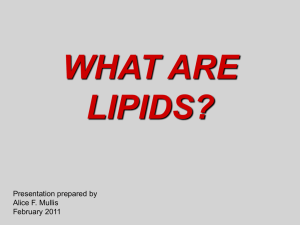 What are Lipids Powerpoint